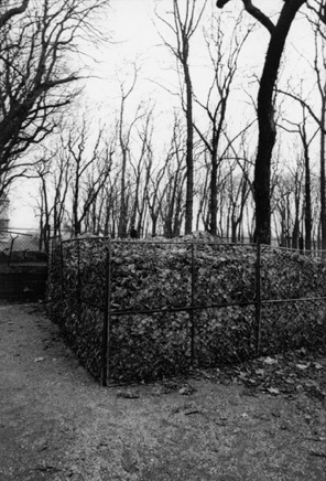 Luxembourg garden, 1998